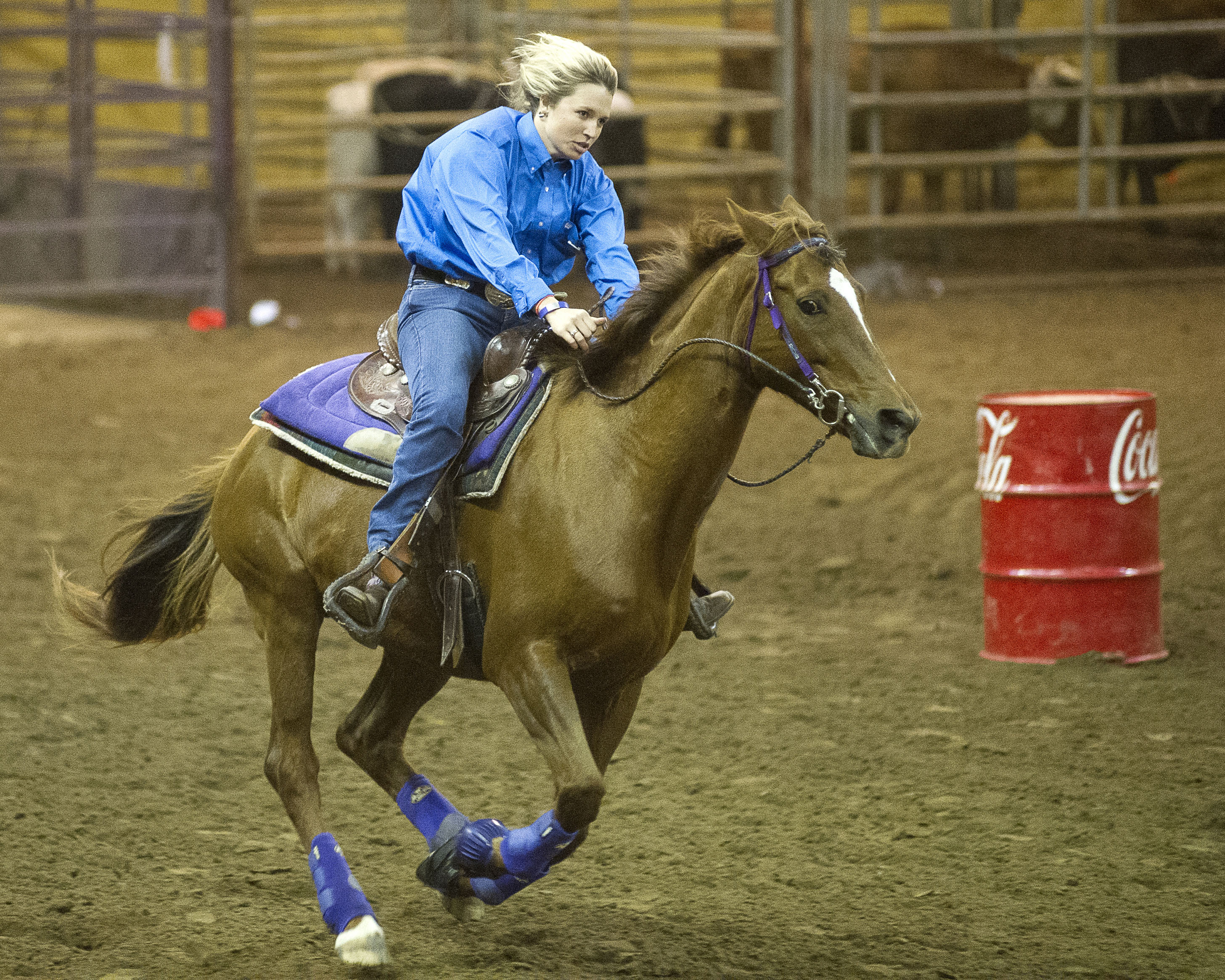 Students Prepare for the Animal Industry 